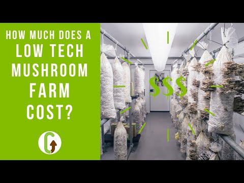 , title : 'How much does  a low tech mushroom farm cost? | GroCycle'