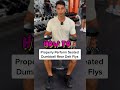 How to Properly Seated Bent Over DB Rear Delt Fly With Good Form (Exercise Demonstration)