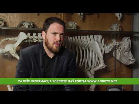 Reč struke ep. 156 22.02.2018. - Karakteristike plemenitih rasa goveda