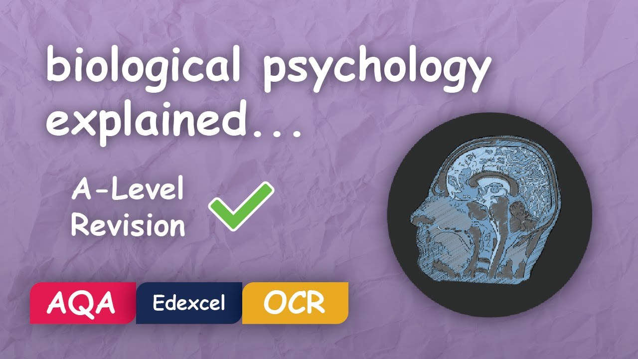 What is Biological Psychology? #Alevel #Revision (Themes in Psychology Explained)
