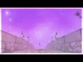 13 Nym SSO Dressage Edit