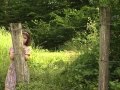 Pauline à la ferme - Documentaire animaux de la ferme