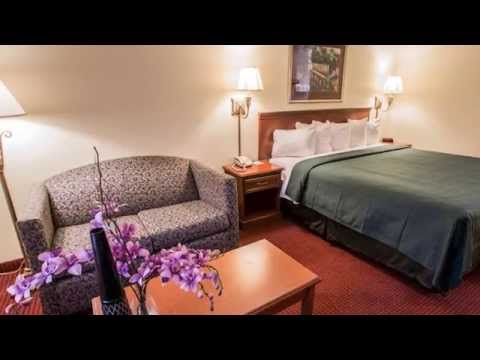 Quality Inn - Wilmington, NC