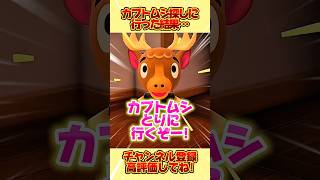 カブトムシ探しに行った結果、、カブトムシは見つかるのか！？ #あつ森 #あつまれどうぶつの森 #shorts