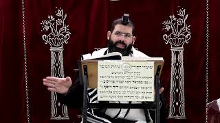 זבחים דף נ"א ע''א ¤ הרב נתנאל אברז'ל ¤ בית הכנסת "בית מרדכי" (מוסדות תורת דוד) - התמונה מוצגת ישירות מתוך אתר האינטרנט יוטיוב. זכויות היוצרים בתמונה שייכות ליוצרה. קישור קרדיט למקור התוכן נמצא בתוך דף הסרטון