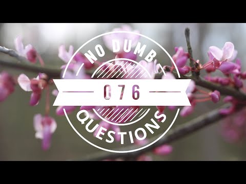 No Dumb Questions 076 - Lord Of The Rings Style Beacon Systems