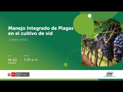 , title : 'Manejo Integrado de Plagas en el cultivo de vid'