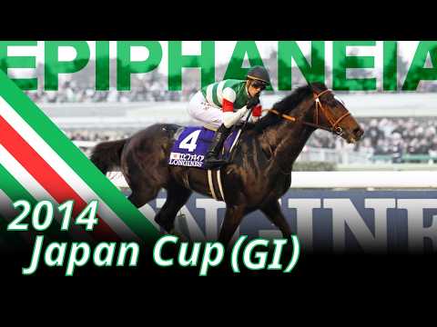 2014 Japan Cup (GⅠ) : Epiphaneia