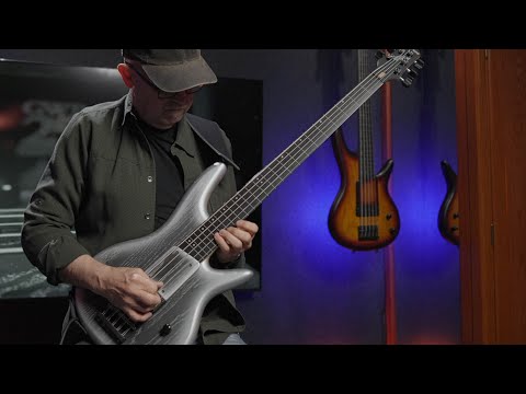 Ibanez GWB25th-SWF Gary Willis 25th Anniversary Signature Soundgear Fretless 2024 - Present - Silver Wave Burst Flat image 20