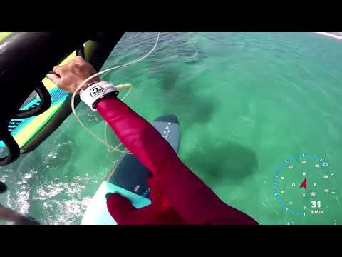 Wing Ride - Takuma Concept 2020