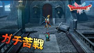 【ドラクエⅠ】雨のほこら最上階でガチ苦戦！(いばらの道) #1-16【実況】【ドラクエⅠ＆Ⅱリメイク】※ネタバレ有り