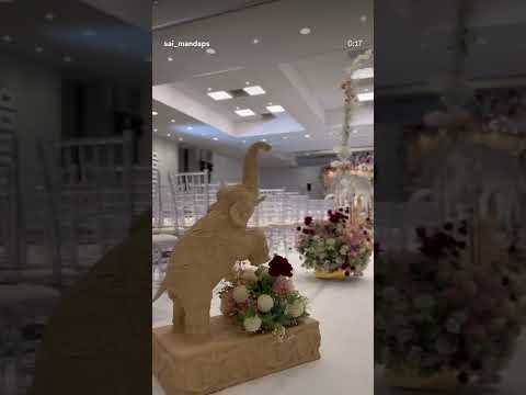 Indian Wedding