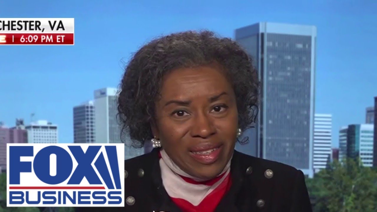 Virginia lt gov slams judge’s voting call, says people had ‘proved’ they're not citizens