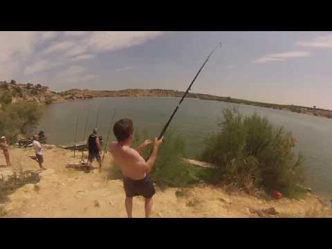 5ft Giant Catfish on Spinning Tackle - Ebro Spain