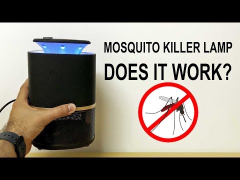 DIY Homemade Mosquito Killer Lamp 