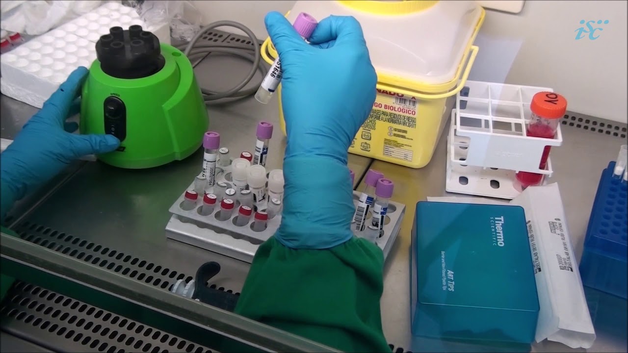 Que es la PCR y para que sirve