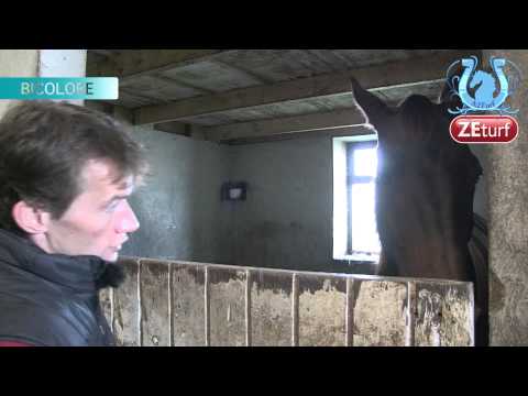 Tour de Cour chez Pierre Yves VERVA (Part2) et... encore les engagements!- A2TURF.COM