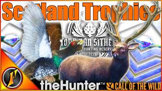 Hunting Scotland DIAMONDS in Multiplayer! | theHunter Call of the Wild