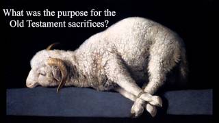 Old Testament Sacrifices | Sacrificial System and Offerings