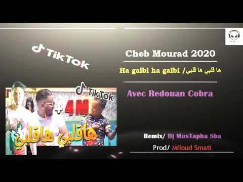 Cheb Mourad Avec Redouan Cobra 2020 [Remix] - Ha galbi ha galbi _ ها قلبي ها قلبي
