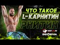 Что такое L-Карнитин?