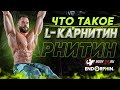 Что такое L-Карнитин?