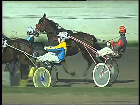 Trotto 22/10/2015 - 7° corsa