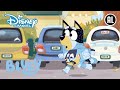 Bluey | Slowmotion | Disney Channel NL