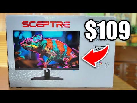 Is this Budget Gaming Monitor Worth it? - Sceptre E275W-FW100T
