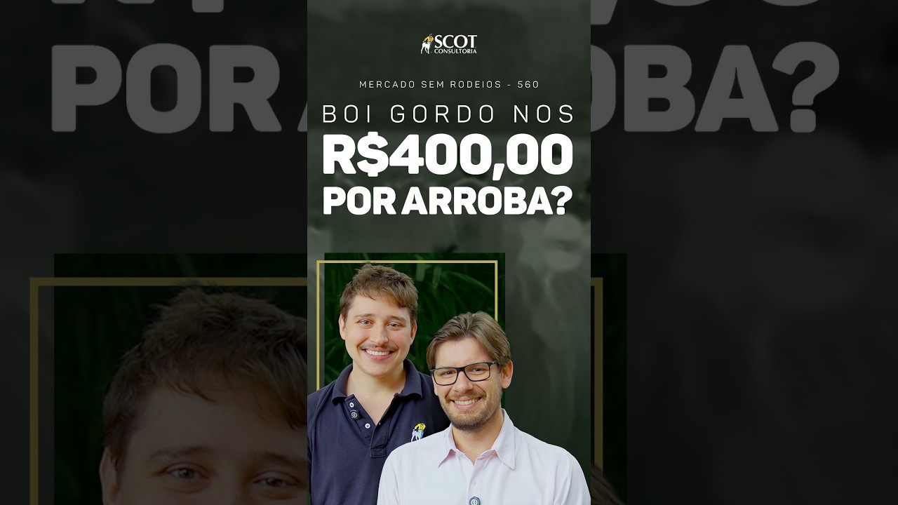 Boi gordo nos R$400,00 por arroba?