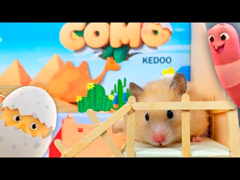 Hamster Knopa in Pat a Pat Como Maze - Desert Maze