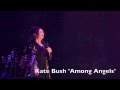 Kate Bush 'Among Angels'