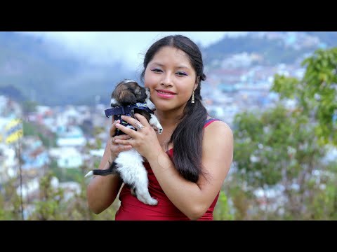 Marimba Mayan Boys USA - Pasito Prohibido (Nuevo 2022)