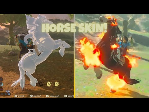Zelda BOTW: How to Get an Ice and Fire Horse!
