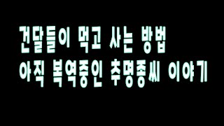 건달들이 먹고사는 방법. 아직 복역중인 칠성 추명종이야기