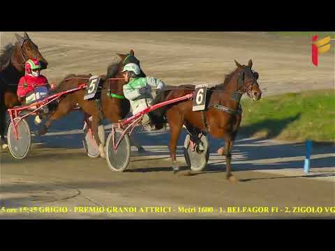 V Corsa del 15 Gennaio 2022 - 5 Anni ed oltre - Gara Centrale - Metri 1600