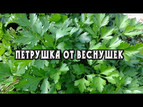 Индийский препарат от пигментных пятен Маска для отбеливания лица кефир