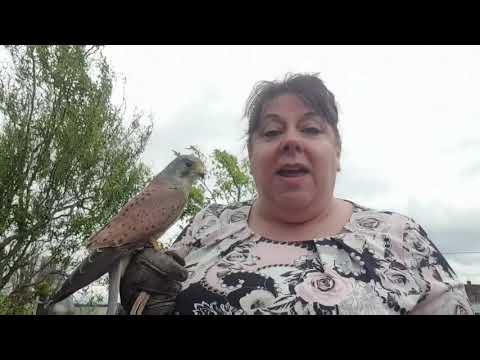 L3 Extended Certificate in Animal Management  - What to Ex6