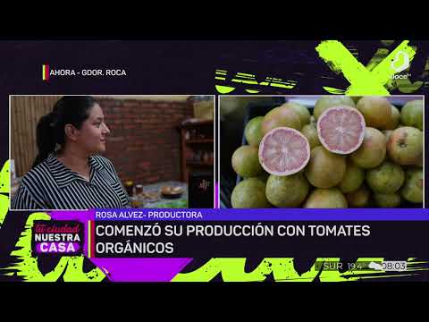 #TuCiudadNuestraCasa: producción agroecológica para el autoconsumo en Gobernador Roca