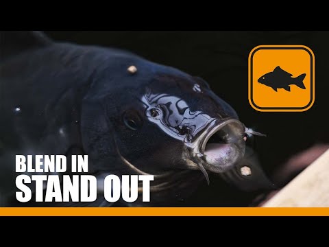 Carp Fishing - Blend in, Stand Out - The Commander Range, The Poacher