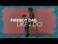 Fireboy DML Like I Do Visualizer