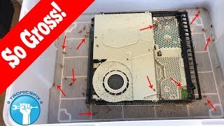 This Will Make Your Skin Crawl! Fixing A Cockroach Infested PS4