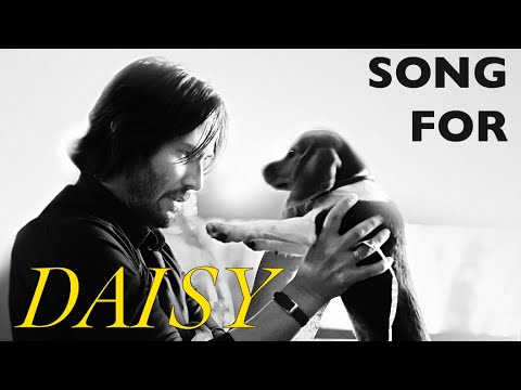 John Wick: Song for Daisy [John Wick Music Video]