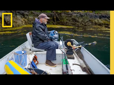 🔴 LIVE: Surviving in Remote Alaska | Port Protection S7 Livestream | National Geographic