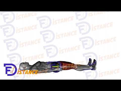 Exercice Étirement des ischio-jambiers allongé