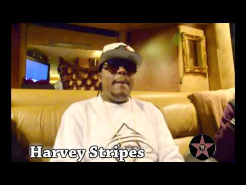 Exclusive Interview with Harvey Stripes of DNDMG