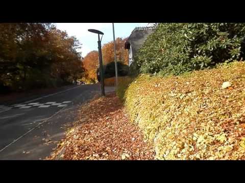 MongoTV_629 - Del 3 - Min Gåtur i Dag Tirsdag 27.Oktober 2015 - Mølleåen Marienborg Furesøen