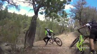 Group ride descent from the CDT down through Deadman Canyon.
