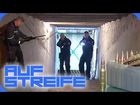 "Verschwindet, sonst passiert was!" 🔫 Polizisten in brenzliger Lage! | 2/2 | Auf Streife | SAT.1