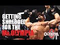 Shoulder Workout- Getting Shredded For the Mr. Olympia!